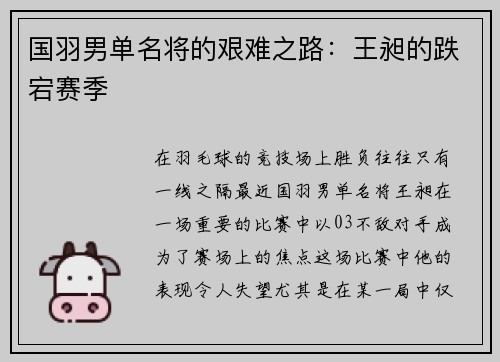 国羽男单名将的艰难之路：王昶的跌宕赛季